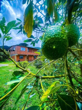 Retro Finca Urrao - Peaceful Avocado Farm Retreat